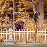 View Golden Leaves (Original Mix) track details