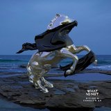 View Divide & Conquer track details