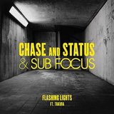 View Flashing Lights (S.P.Y Remix) track details