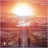 View Sati (Extended Mix) track details