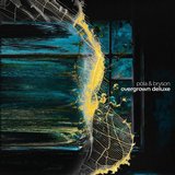 View Twilight (LSB Remix) track details