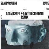 View Rave (Adam Beyer & Layton Giordani Remix) track details