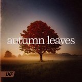 View Autumn Leaves (Original Mix) track details