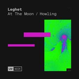 View At The Moon (Extended Mix) track details