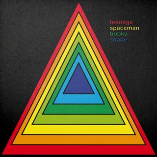 View Teenage Spaceman (Sei A Bass Remix) track details