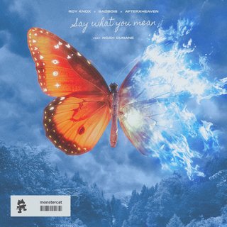 View Say What You Mean (Original Mix) track details