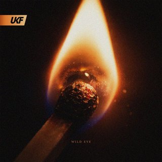 Wild Eye (Original Mix)