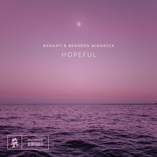 View Hopeful (Original Mix) track details