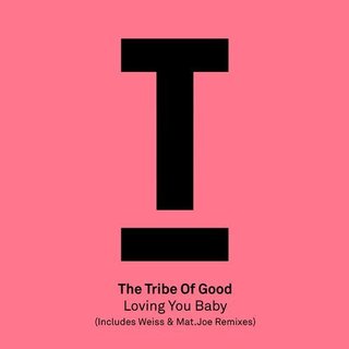 View Loving You Baby (Mat.Joe Safari Remix) track details