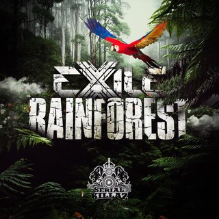 Psychedelic Dub