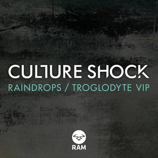 Raindrops (Original Mix)