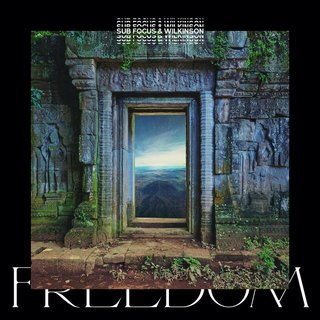 View Freedom (Sub Focus x Wilkinson x High Contrast Remix) track details