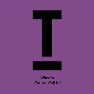 Everyone (Original Mix)