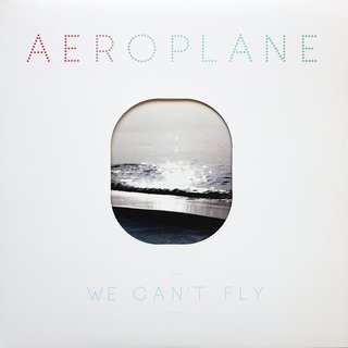 View We Can't Fly track details