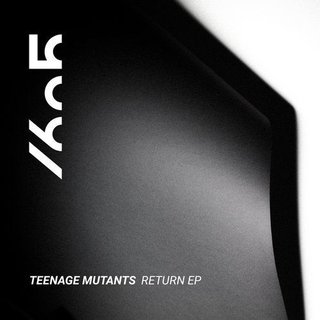 View Raven (Original Mix) track details