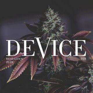View Budz (Original Mix) track details