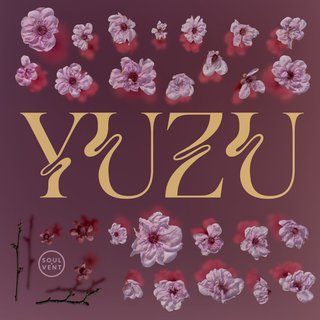 View Yuzu track details