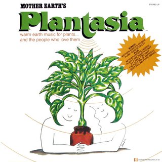 Music To Soothe The Savage Snake Plant