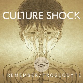 View I Remember (Original Mix) track details