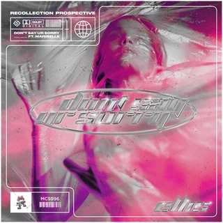 View Don't Say Ur Sorry (Original Mix) track details
