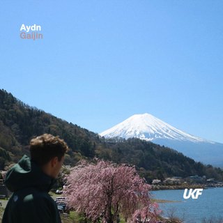 View Gaijin (Original Mix) track details