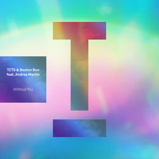 View Without You (Extended Mix) track details