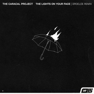 View The lights on your face. (DROELOE Remix) track details