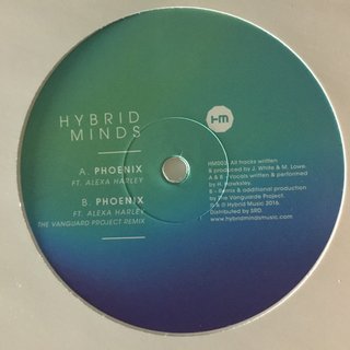 View Phoenix (The Vanguard Project Remix) track details
