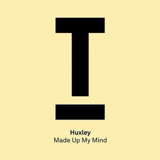 Made Up My Mind (Extended Mix)