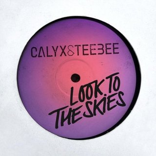 View Look To The Skies (Original Mix) track details