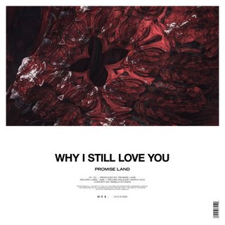 View Why I Still Love You track details
