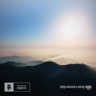 View Feeling (Original Mix) track details