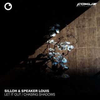 Chasing Shadows (Original Mix)