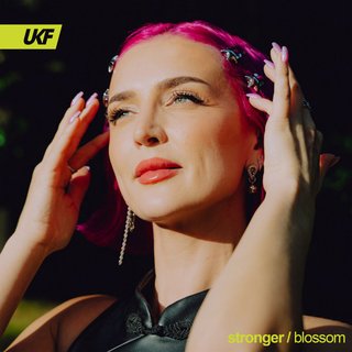 View Stronger (Original Mix) track details