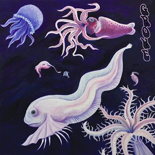 Luminous Lure
