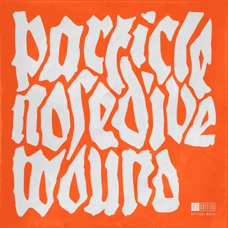 View Wound track details