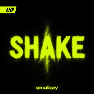 Shake (Original Mix)
