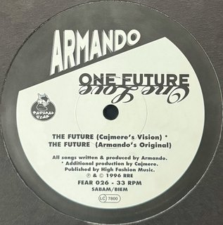 View The Future (Cajmere's Vision) track details