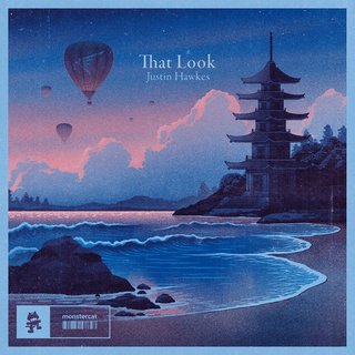View That Look (Original Mix) track details