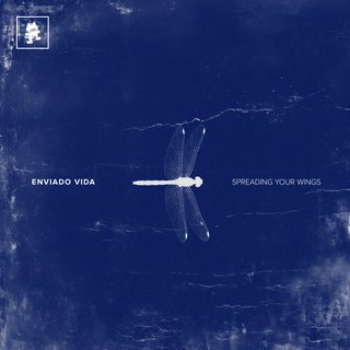 Spreading Your Wings (Original Mix)