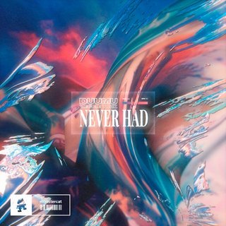 View Never Had (Original Mix) track details