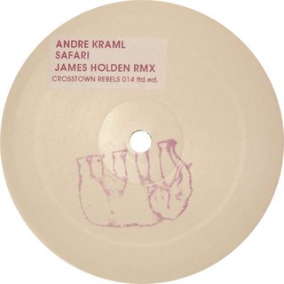 Safari (James Holden Remix)