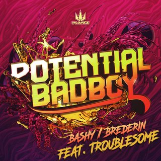 View Bashy (Dub Mix) track details