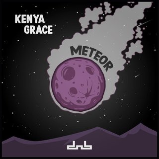 View Meteor track details