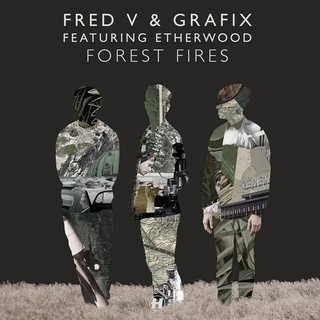 View Forest Fires track details