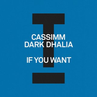 View If You Want (Extended Mix) track details