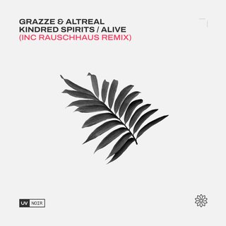 View Alive (Original Mix) track details