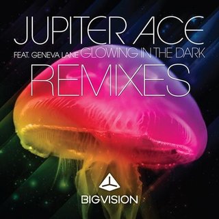 View Glowing In The Dark (Chooky Remix) track details