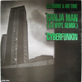 View Cyberfunkin (Original Mix) track details