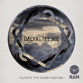 Elevate This Sound (Original Mix)